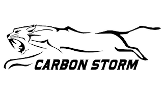 CARBON STORM