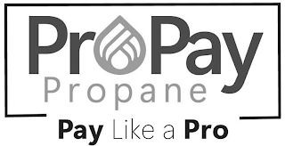 PROPAY PROPANE PAY LIKE A PRO