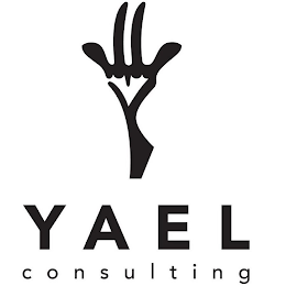 YAEL CONSULTING