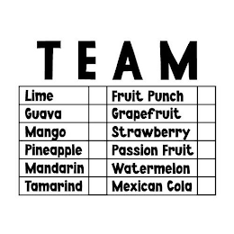 TEAM LIME FRUIT PUNCH GUAVA GRAPEFRUIT MANGO STRAWBERRY PINEAPPLE PASSION FRUIT MANDARIN WATERMELON TAMARIND MEXICAN COLA