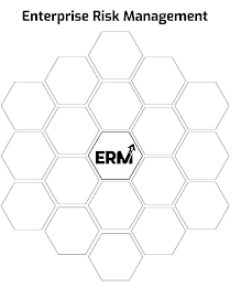 ENTERPRISE RISK MANAGEMENT ERM