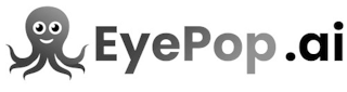 EYEPOP.AI
