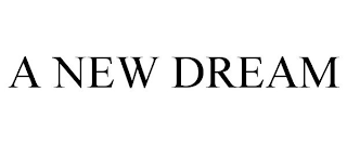 A NEW DREAM