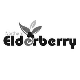 NORTHERN ELDERBERRY