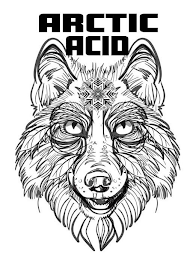 ARCTIC ACID