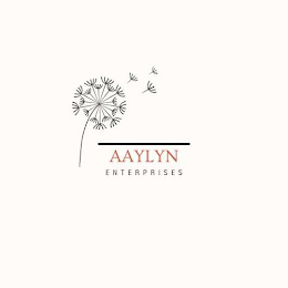 AAYLYN ENTERPRISES