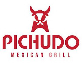 PICHUDO MEXICAN GRILL