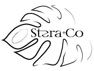 STERA+CO