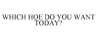 WHICH HOE DO YOU WANT TODAY?