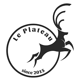 LE PLATEAU SINCE 2015