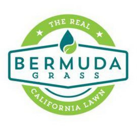 BERMUDA GRASS THE REAL CALIFORNIA LAWN