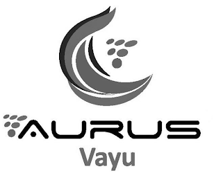 AURUS VAYU