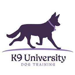 K9 UNIVERSITY DOG TRAINING