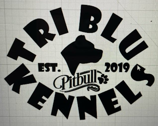 TRI BLU KENNELS PITBULL EST. 2019