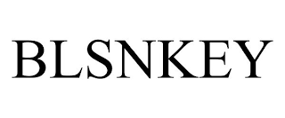 BLSNKEY