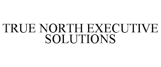 TRUE NORTH EXECUTIVE SOLUTIONS