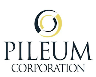 PILEUM CORPORATION