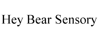 HEY BEAR SENSORY