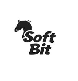 SOFT BIT