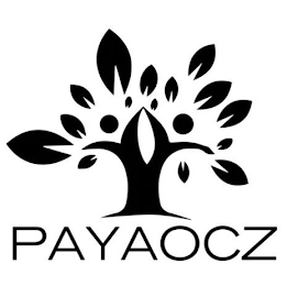 PAYAOCZ