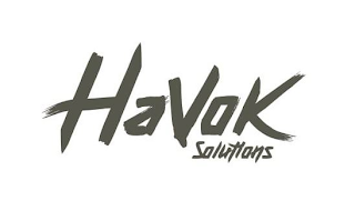 HAVOK SOLUTIONS