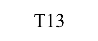 T13