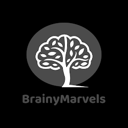 BRAINYMARVELS