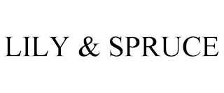 LILY & SPRUCE