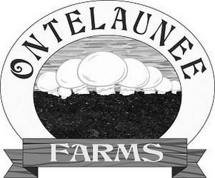 ONTELAUNEE FARMS