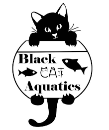 BLACK CAT AQUATICS