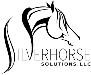 SILVERHORSE SOLUTIONS, LLC