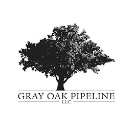 GRAY OAK PIPELINE LLC