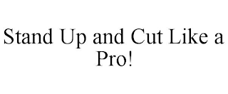 STAND UP AND CUT LIKE A PRO!