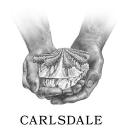 CARLSDALE