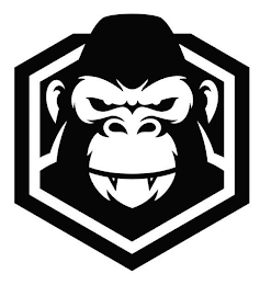 Image Trademark