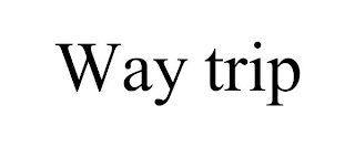 WAY TRIP