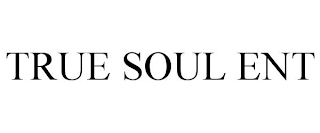 TRUE SOUL ENT