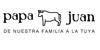 PAPA JUAN DE NUESTRA FAMILIA A LA TUYA