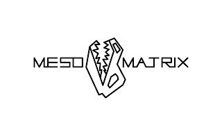 MESO MATRIX
