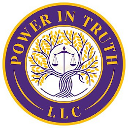 POWER IN TRUTH LLC