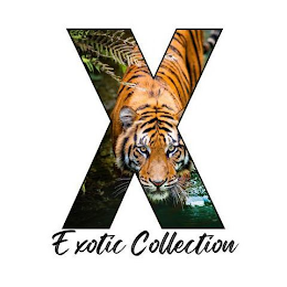 X EXOTIC COLLECTION