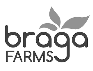 BRAGA FARMS