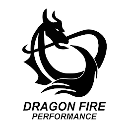 DRAGON FIRE PERFORMANCE