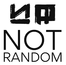 NOT RANDOM