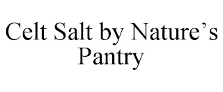 CELT SALT BY NATURE'S PANTRY