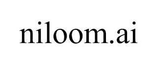 NILOOM.AI