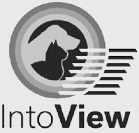 INTOVIEW