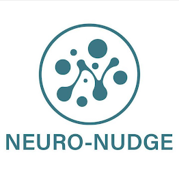 NEURO-NUDGE