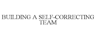 BUILDING A SELF-CORRECTING TEAM