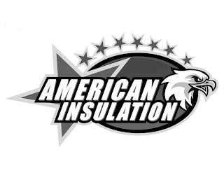 AMERICAN INSULATION